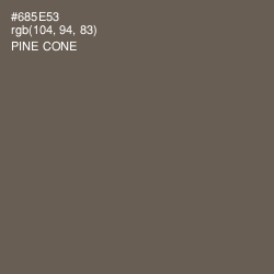 #685E53 - Pine Cone Color Image